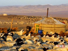 Хөдөө аж ахуйн статистикийг үнэн зөв гаргах ёстой