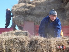 Түнэл сум хадлан тэжээлээ 100 хувь бэлтгэжээ