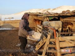 Нэг малчинд хоёроос илүү бууц, хороо олгохгүй байх шийдвэр гаргажээ