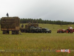 Дорнод аймагт хадлан тэжээлийн бэлтгэл 93.1 хувьтай байна