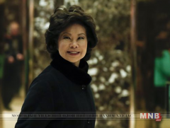 Дональд Трамп Элейн Чаог тээврийн сайдаар томилохоо зарлалаа