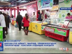 Дархан-Уул аймагт үзэсгэлэн худалдаа нээгдлээ