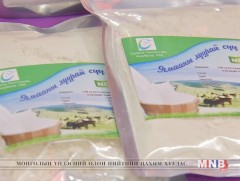 Манай улсын эрдэмтэд ямааны сүүгээр хуурай сүү хийжээ