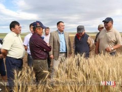 Улаан буудай, төмсний хэрэглээг дотоодоос бүрэн хангана