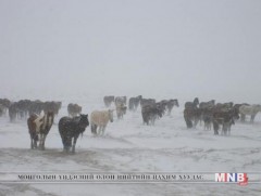 Энэ сард ойрын 10 жилд тохиогоогүй цочир хүйтэрнэ