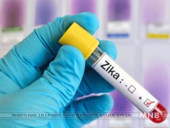 Зика вирус эрэгтэй хүний нөхөн үржихүйн системийг гэмтээдэг байж болзошгүй  