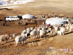 Малчид цаг агаарын мэдээг мессежээр хүлээн авдаг болжээ