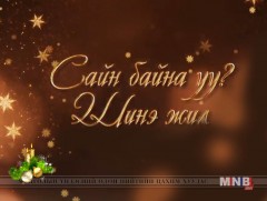Сайн байна уу Шинэ жил?
