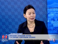 Органик хүнс гэж юу вэ