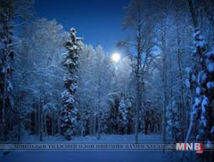 Канадад сүүлийн 60 жилд тохиогоогүй хамгийн хүйтэн өвөл болно 