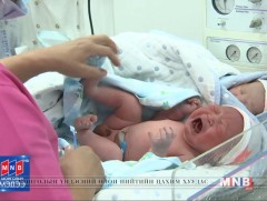 ЭХЭМҮТ-д өдөрт дундажаар 40 эх амарждаг