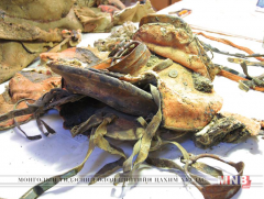 Археологийн олдворуудыг Германд илгээнэ