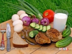 Хоол хүнсний гаралтай халдвар, хордлогоос сэрэмжилье