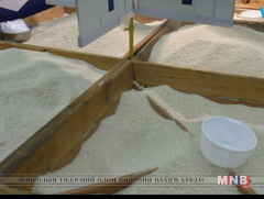 Хуурамч цагаан будаа зарж байхыг илрүүлжээ 