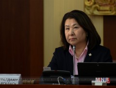 Хуулийн төслийг хэлэлцэхийг дэмжив