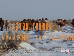 Алтан говийн 