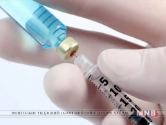 Эбола вирусаас урьдчилан сэргийлэх тарилгын туршилт амжилттай болжээ