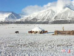 Нутгийн 40 хувьд өвөлжилт хүндэрч болзошгүй байна 
