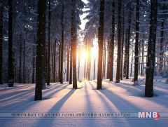 Өнөөдөр жилийн хамгийн богино өдөр, хамгийн  урт  шөнө  тохионо 