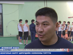 Циркийн шилдэг үзүүлбэрүүд тоглоно