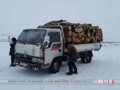 Мал хулгайлах гэмт хэрэг буурчээ 