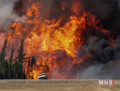 Теннисид  ойн түймрийн уршгаар амиа алдсан хүний тоо 7-д  хүрчээ