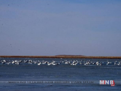 Ганга нуурыг хамгаалах асуудлаар санал солилцлоо 