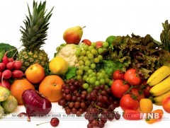 Жимс, хүнсний ногоо үйлдвэрлэгч, худалдан борлуулагч, хэрэглэгчдэд өгөх зөвлөмж