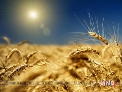 Атрын гуравдугаар аяныг үргэлжлүүлнэ