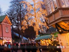 Шведэд зул сарын баярт зориулсан үзэсгэлэн худалдаа нээгдлээ