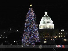 АНУ-ын конгрессын  ордны  өмнөх гацуурын гэрлэн чимэглэлийг  асаалаа