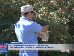 Ботаникийн цэцэрлэгт хүрээлэнд 305 зүйлийн ургамал тарималжуулдаг