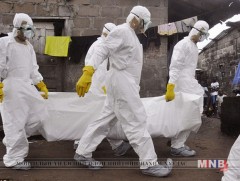 Хятадад шувууны томуугаар хүн нас баржээ 