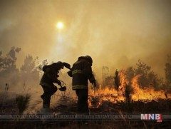 Чили улсад ойн түймэр газар аваад байна 