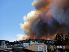 Чилид дэгдсэн ойн түймрээс болж олон арван байшин шатжээ 