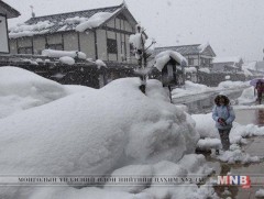 Японы зарим нутагт 183см орчим цас унажээ