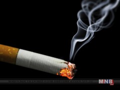 Амьсгалын тогтолцоо, улаан хоолой болон уушги, зүрх, судасны өвчлөлийн тэргүүлэх шалтгаан нь тамхи 