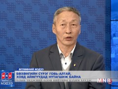 Бөхөнгийн сүрэг Говь-Алтай, Ховд аймгуудад нутагшиж байна