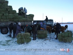 Өмнөговьд нөөцөлсөн өвсний үнэ хямдарчээ 