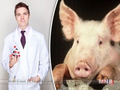 АНУ-ын эрдэмтэд эрүүл мэндийн шинжлэх ухааны салбарт шинэ нээлт хийжээ 