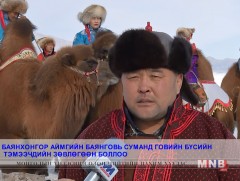 Баянговь суманд говийн бүсийн тэмээчдийн зөвлөгөөн боллоо