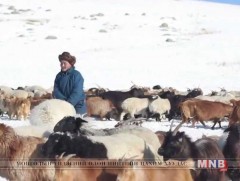 Малчдыг орлоготой, махны үнийг өсгөхгүй байх  нөхцөлийг бүрдүүллээ