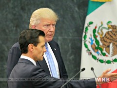 Мексиктэй залгаа хил дээр хана босгох зарлиг гаргалаа