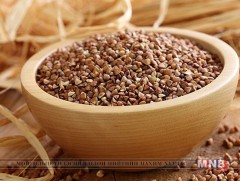 Сэлэнгэчүүд Японы Шизүока мужтай хамтран гурвалжин будаа тарина 