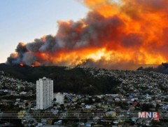 Чилийн хойд нутаг дахь ойн түймрийг унтрааж хүчрэхгүй байна