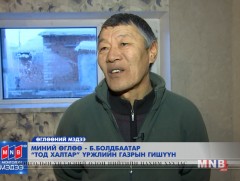 Монгол банхар нь халуун, хүйтэнд тэсвэртэй анч нохой