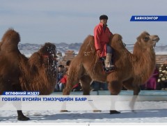 Говийн бүсийн тэмээчдийн баяр боллоо