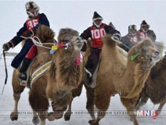 Баяннуурын малчид тэмээний уралдаан зохион байгуулжээ 