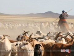Ядуу иргэд, малчдад зориулсан төслийг үргэлжлүүлнэ