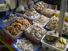 “Цагаан сар-2017” үзэсгэлэн худалдаа нээлтээ хийлээ 